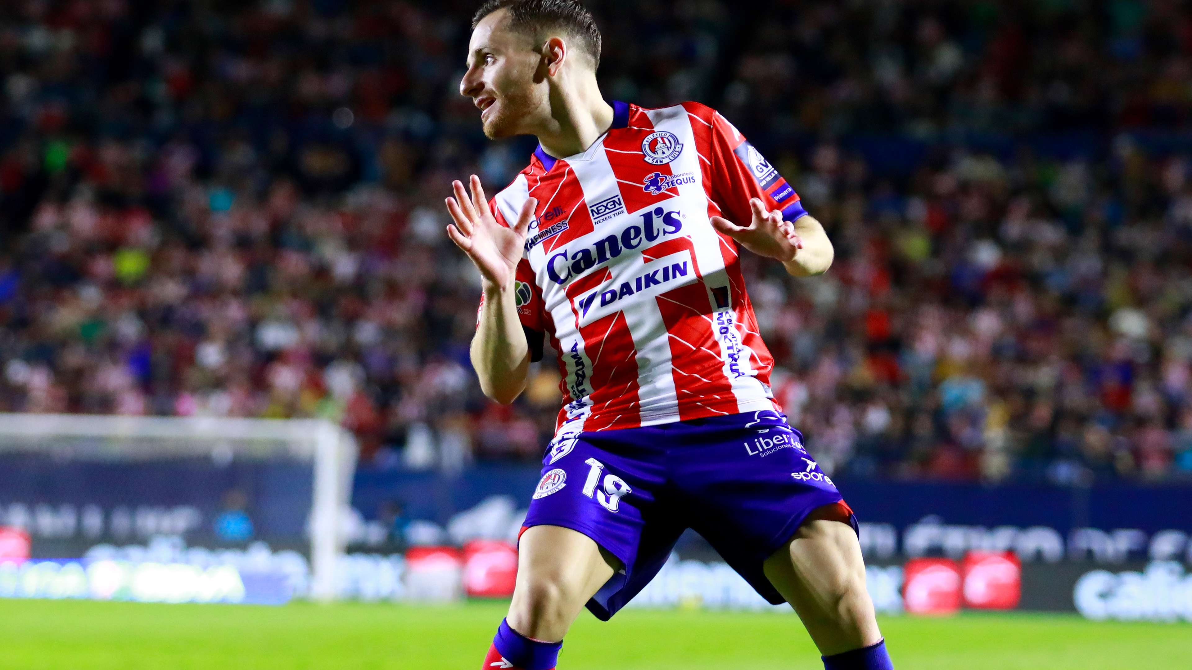 也使得他们 也使得他们