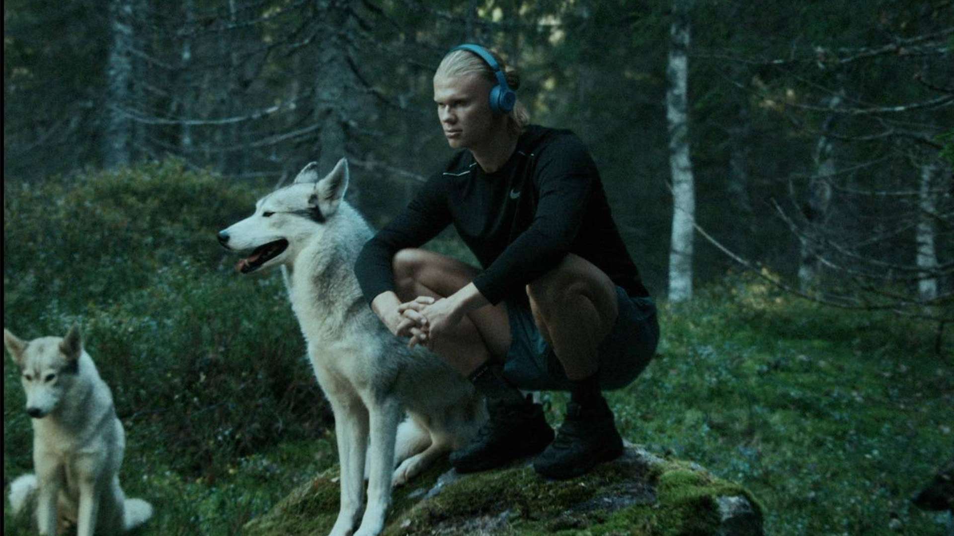 值得球迷们 值得球迷们