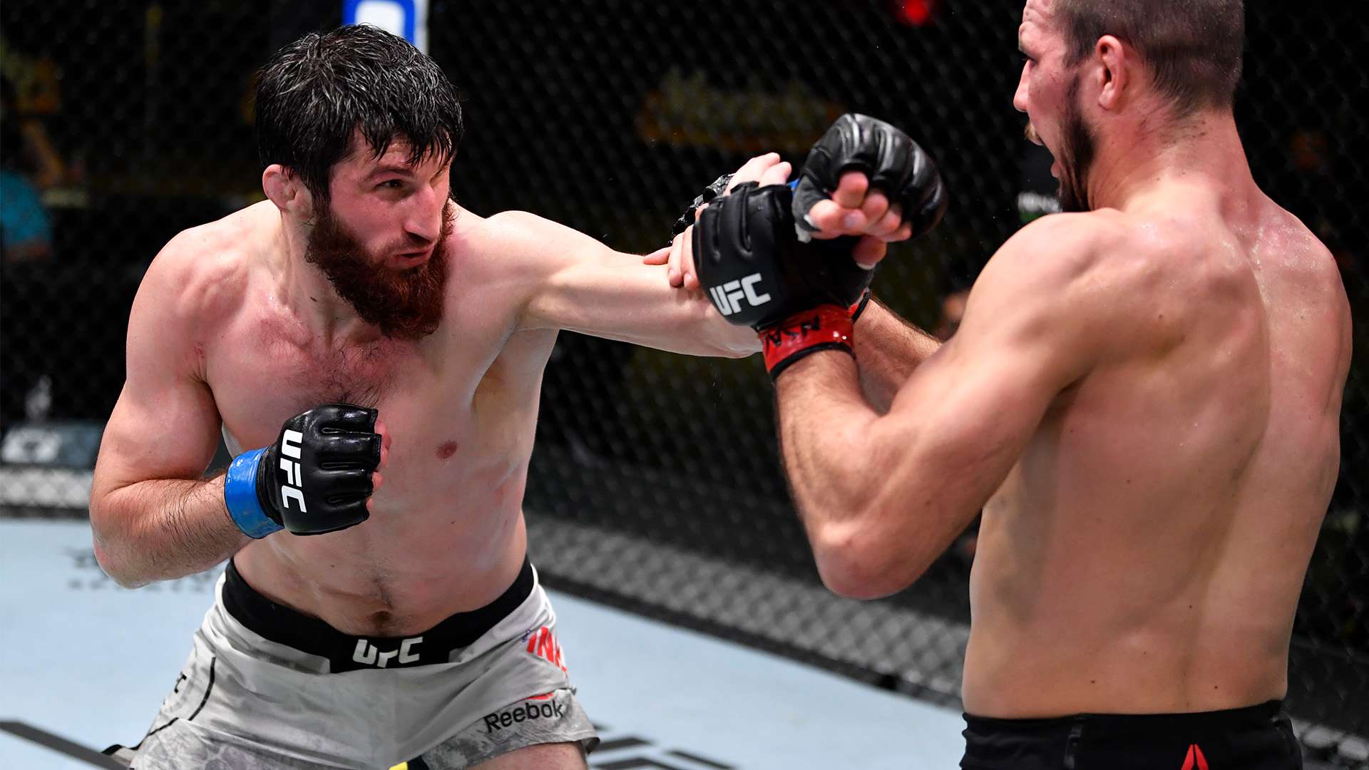 他个人努力 他个人努力